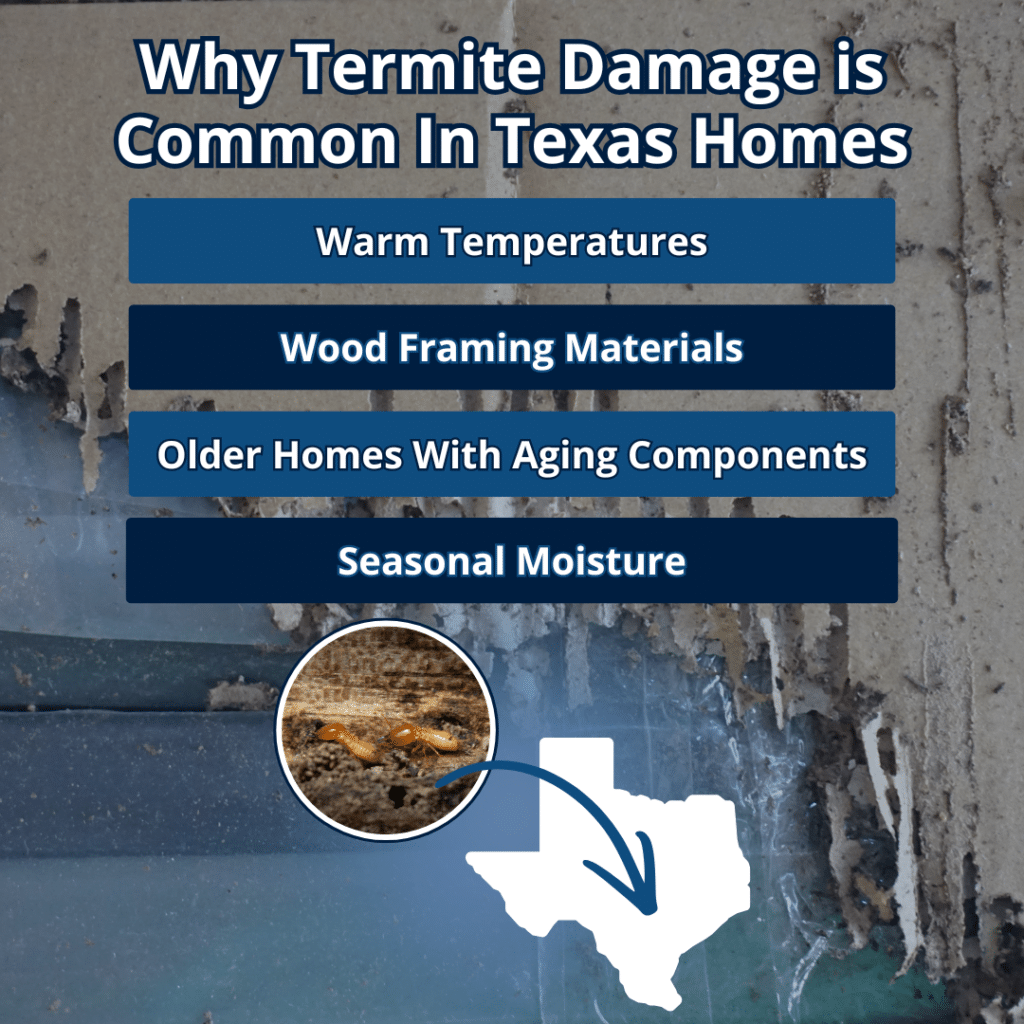 why termite damage is common in Texas homes