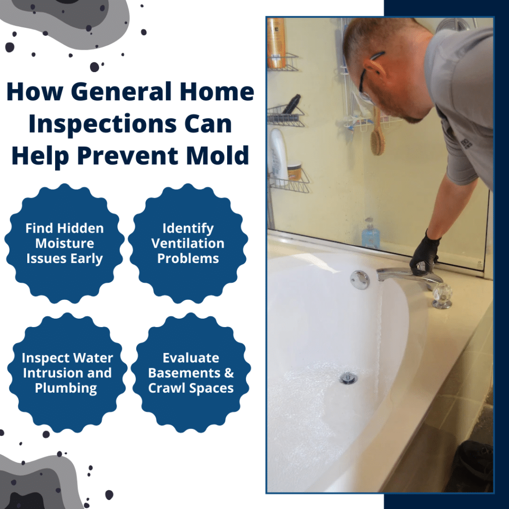 how general home inspections can help prevent mold
