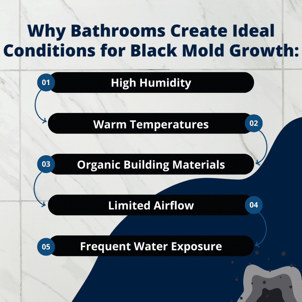 why bathrooms create ideal conditions for black mold growth